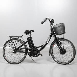 ELCYKEL, Eco Ride, Ambassador ERC, 26, 3 vxl