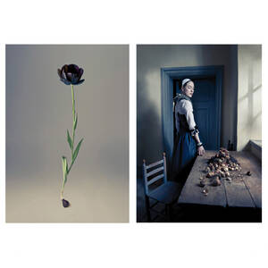 RICHARD VON HOFSTEN, Tulipa, fotografier, 2 st