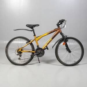 CYKEL Logan Pulse 24