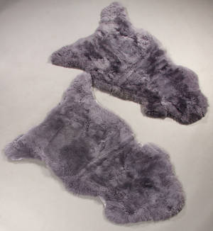 Islandsk fåreskind - Farve Grey 2