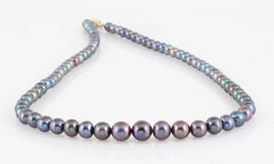Necklace with gold lock freshwater pearls