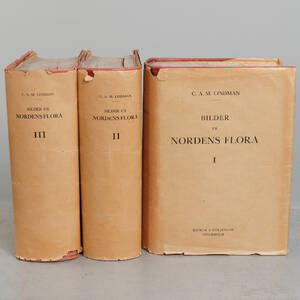 BÖCKER, Bilder ur Nordens Flora C.A.M Lindman, band I-III, år 1922-1926