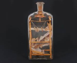 Diorama i flaska, 1900-talets början