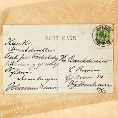 Johs. V. Jensen Johannes Larsen og hans Billeder. Cph 1920. Autograph post card signed by Johannes Larsen. 2 vols. 3