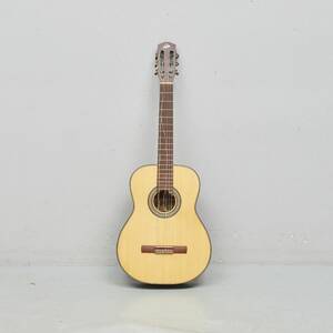 Gitarr, Akustisk