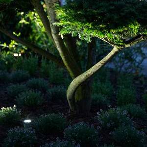 Parkhavebed belysning, fem LED-lamper