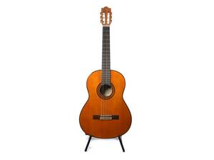 Akustisk gitarr Yamaha