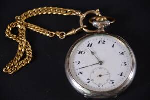Fickur, silver