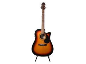 Akustisk gitarr Takamine