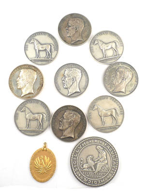 Silver medaljer 11