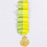 Medalj i guld