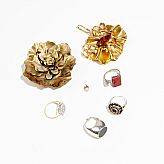 Ringar broscher