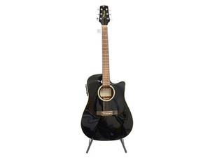 Akustisk gitarr, Takamine