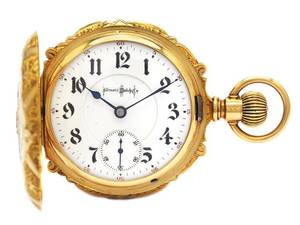 ILLINOIS WATCH