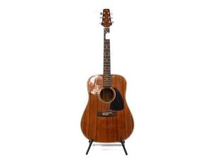 Aukustisk gitarr, Aria