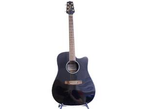 Akustisk Gitarr, Takamine