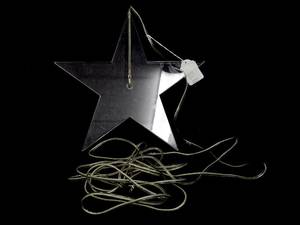 Julstjärna, Plexistar by