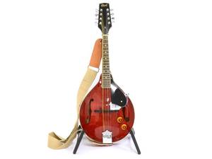 Mandolin Cort, modell