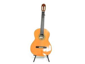 Akustisk Gitarr M