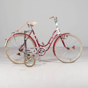 CYKEL DBS veteran 28