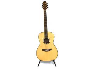 Akustisk gitarr, Takamine