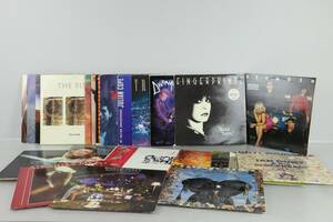 VINYLSKIVOR, 30 st, LP och Maxi, mest New WaveAlternative World Party, Afraid Of Mice, Blondie, Fingerprintz, Divinyls, Gene Loves Jezebel