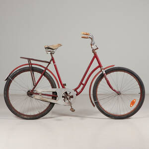 CYKEL dam veteran 26