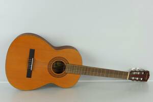 AKUSTISK GITARR, Landola