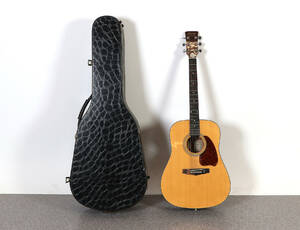 IBANEZ, AKUSTISK GITARR