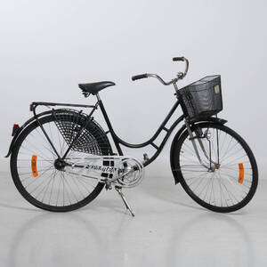 CYKEL, veteran dam, Hermes, 28